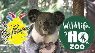 Wildlife HQ Queensland 2025