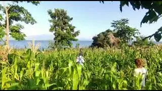 Five community life improving projects initiated by Sagrema foundation on Mfangano Island Kenya