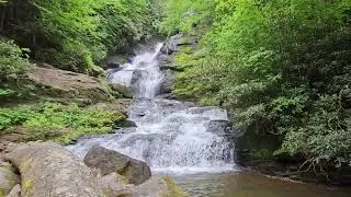 Mud Creek Falls, GA