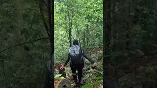 A Path Through the Clouds in the Mountains | Virtual Walking ASMR