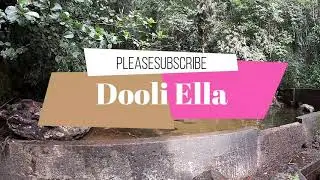 Dooli Ella