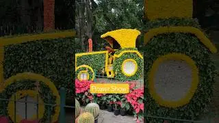 Tractor Flower Show Cubbon Park Lalbagh Bangalore Ahmedabad Flower Show 2026 #flowershows #shorts