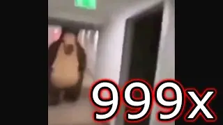Bear chasing person down hall 999x speed meme