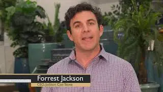 Planters: Incredible Options | Jackson Cast Stone