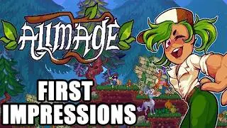 Allmage - Новая история MapleStory
