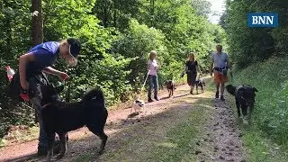 Ehrenamtliche unterst&uuml;tzen Hunde aus dem Tierheim Baden-Baden