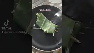 Tamales de nejo con mole verde pipian