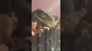 Dinosaur rave #explorepage #fypシ゚viral #memesdaily#feedshorts #music #foryou #concert #musicfestival