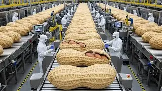 Inside the Factory: How Peanut Butter Is Made in the USA (Full Process)