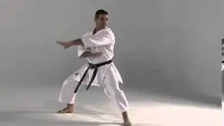 8th Kata - Sepai Side View