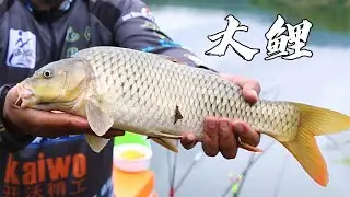 【湖库突击队】野釣親測有效！深山彎口作釣，紅尾鯉魚爆口！| 海釣江湖