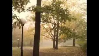 Concerto For Violin and Orchestra No. 2: Allegro (Bach) - Lodz Poland