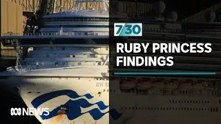 The damning findings of the Ruby Princess special commission of inquiry | 7.30