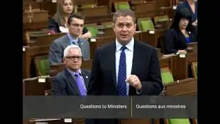 Trudeau grilled on revelation that $912M contract was with WE Charity real estate holding foundation