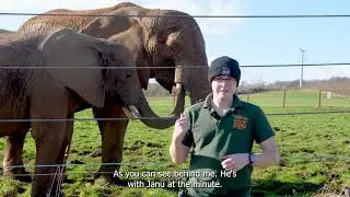 🐘 10 years of Elephant Eden! 🐘
