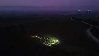 Night Harvest