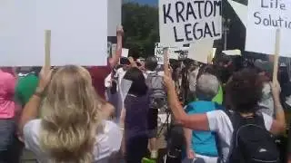 Kratom rally in front of White House
