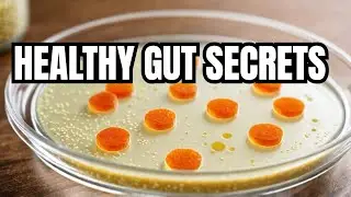 How Lactobacillus Paracasei Benefits Your Gut health, Skin conditions, and Immune System