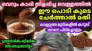 ഏത് പ്രായക്കാർക്കും ഒരുപോലെ വെളുത്ത മുടികൾ കറുപ്പിയ്ക്കാം| Easy natural hair dye