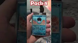 Salamence Promo Box #pokemon #pokemoncards #pokemontcg