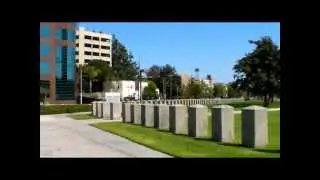 Black and White Tea Party Groups Hold Major Rally (4-15-2012) In Los Angeles Ca..