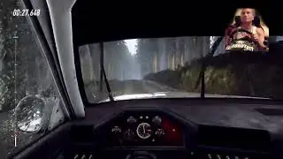DirtRally 2.0 