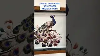 Premium Window Blinds Installation | 9891788619 Mayapuri #rollerblinds #customblinds #homedecor