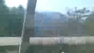 Murree Aubia