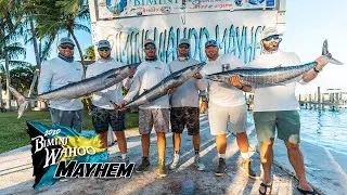 Offseason Fishing Team SeaVee 39Z powered by Mercury Marine at the Bimini Wahoo Mayhem