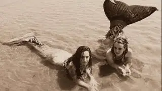 A Fishy Summer: Part 4: The Beach
