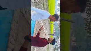 Don no 1 super dialogue Nagarjun #comedy #funny #youtubeshorts #love