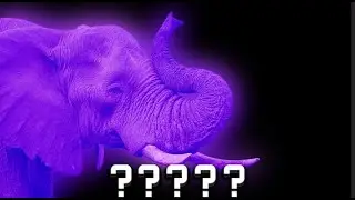 5 Elephant Sound Variations in 10 Seconds [Part 2]