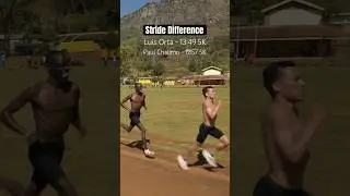 Stride Difference Between Two Elite Runners