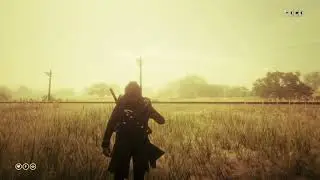 Red Dead Redemption 2 Online | Tonic Spam Tutorial