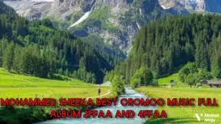 MOHAMMED SHEEKA BEST OROMOO MUSIC FULL ALBUM 2FFAA AND 4FFAA