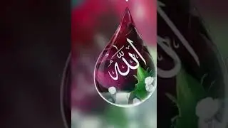 #Salmi #Video #islami #Video
