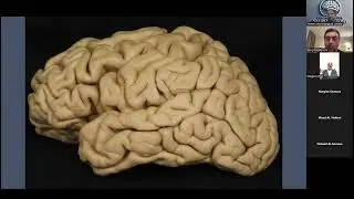 Dr Baris Kucukyuiuk- Anatomy of the Temporal