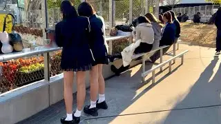 SHIBUYA BEST WALK (Jan 2026) Nothing Hidden While Cameras Roll in Tokyo