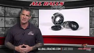 All Balls Racing   Crankshaft Bearing Seal Kit