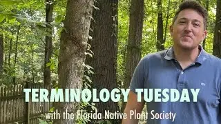 🌿 TERMINOLOGY TUESDAY 🌿 Conservation Ranking of Species