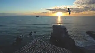 Muriwai - West Auckland - 4k Timelapse