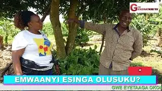 WAMMA EMWANYI N'OLUSUKU KIKI EKISINGA OKUVAMU EJJAMBA Labayo emboozi ya Moses Kusasira
