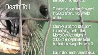 Morro Bay: Worst Aquarium in the Nation