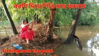 বাড়ির পুকুরের জ্যান্ত মাছ বাড়ির টাটকা তাজা শাক দিয়ে স্বাস্থ্যকর রান্না || sundarban prond fishing