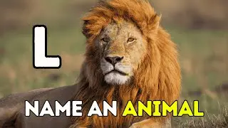 Only GENIUSES Beat This Animal Alphabet & Word Game Quiz 🧠🔥🐾 Brain Teaser