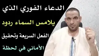 الدعاء الفوري الذي يلامس السماء ردود الفعل السريعة وتحقيق الأماني في لحظة‼️