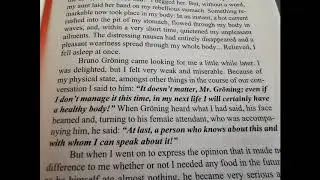 BRUNO GRONING--STORY 7--REINCARNATION!!! THE POWER OF THE SPIRIT!!!