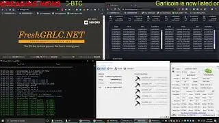 Garlicoin Mining