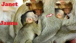 So Nice! Baby Janna Tries Wean Milk Sis Janet, Janet Cries Angry Janna So Much, Good Job Janna