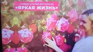 Рекламный блок (Усадьба, 27.07.2024)